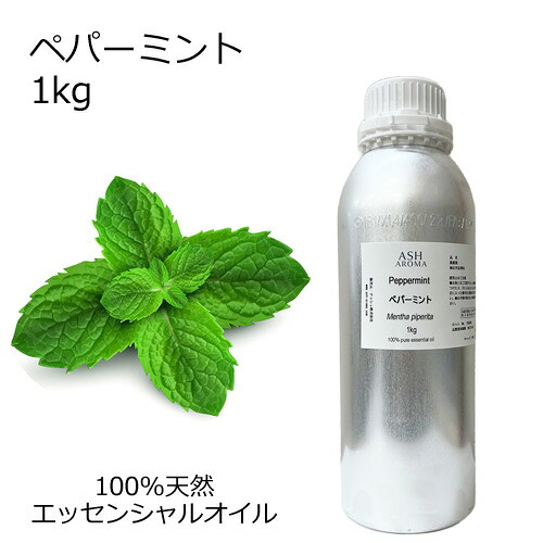 ASH AROMA 雨季の臭い特集