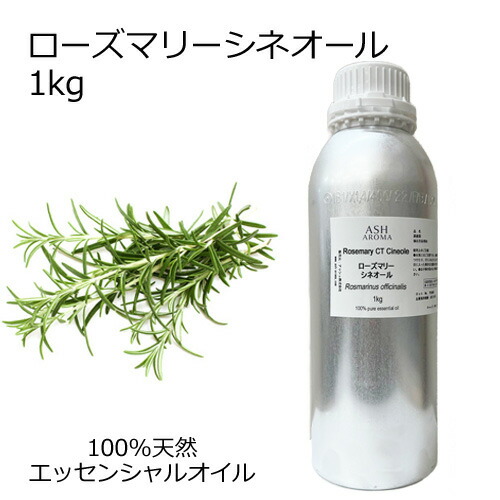 6月百貨店SALEお買い得知らせ
