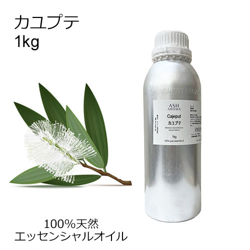 ASH AROMA 雨季の臭い特集
