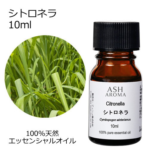 楽天市場】【LINE友限定10％OFFクーポン】 カユプテ 10ml アロマオイル