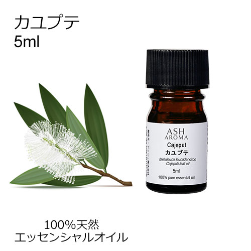 楽天市場】カユプテ 10ml アロマオイル エッセンシャルオイル
