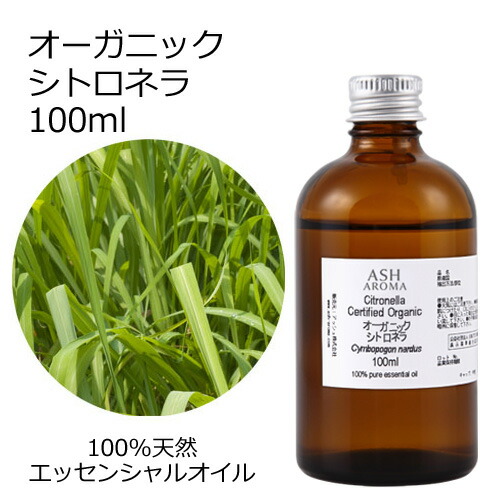 imgrc0102797446.jpg