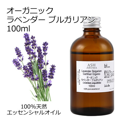 6月百貨店SALEお買い得知らせ