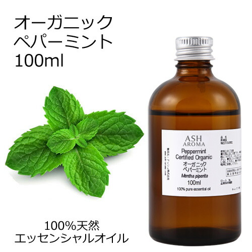 6月百貨店SALEお買い得知らせ