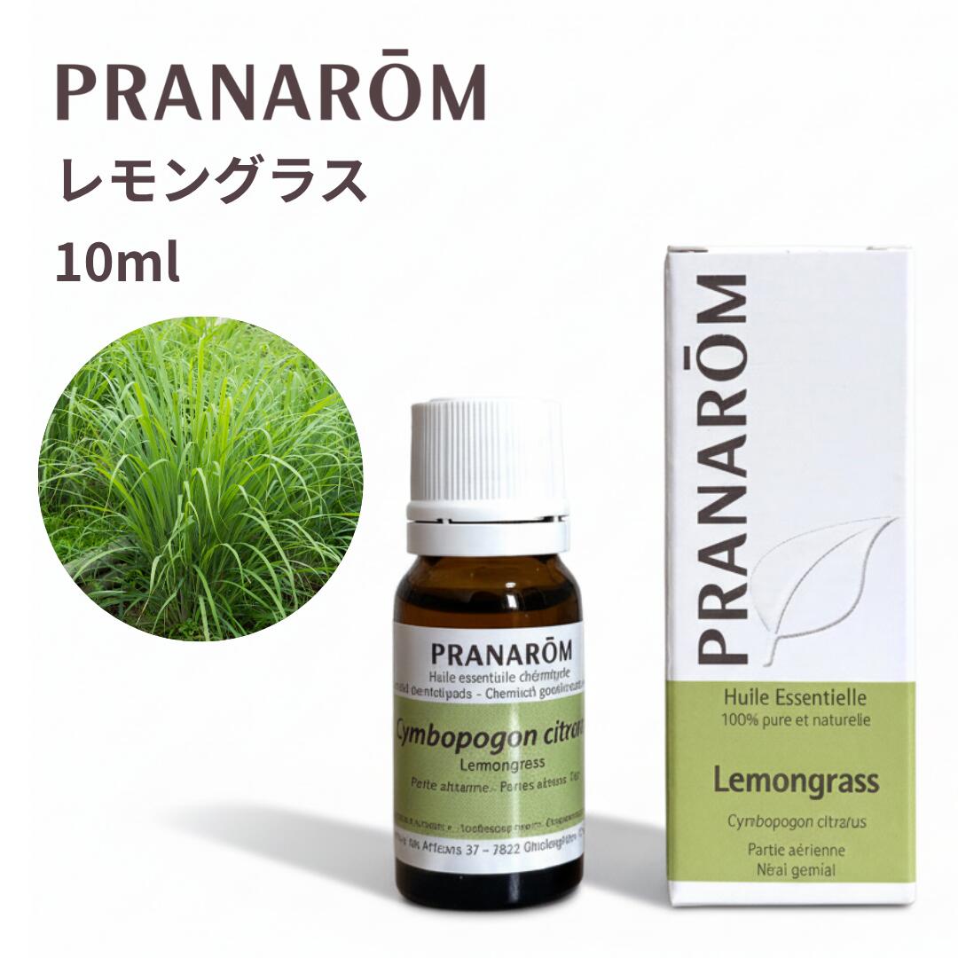 楽天市場】【並行輸入品】プラナロム レモンバーム/メリッサ 5 ml 精油