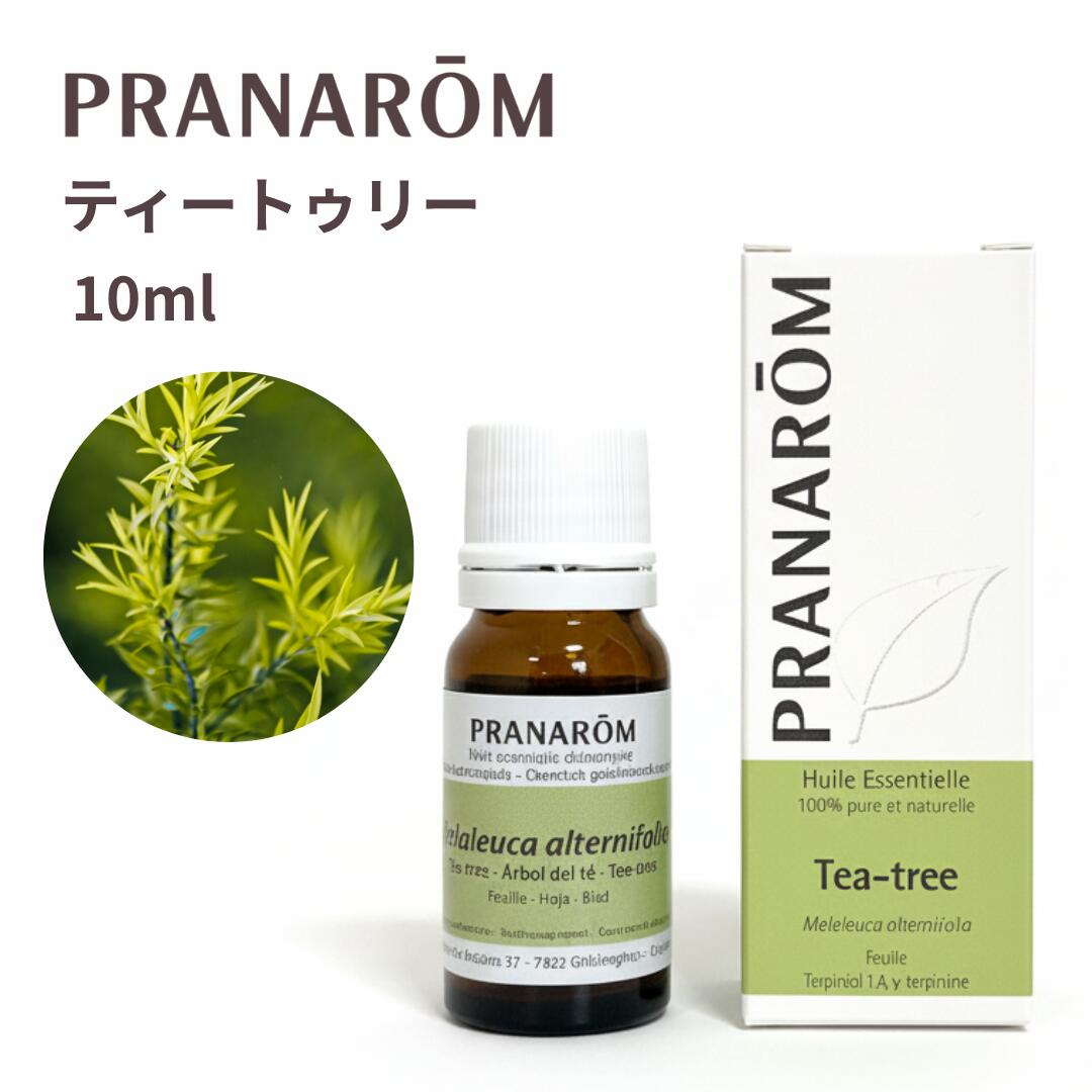 楽天市場】【並行輸入品】プラナロム クローブ 10ml 精油 BIO