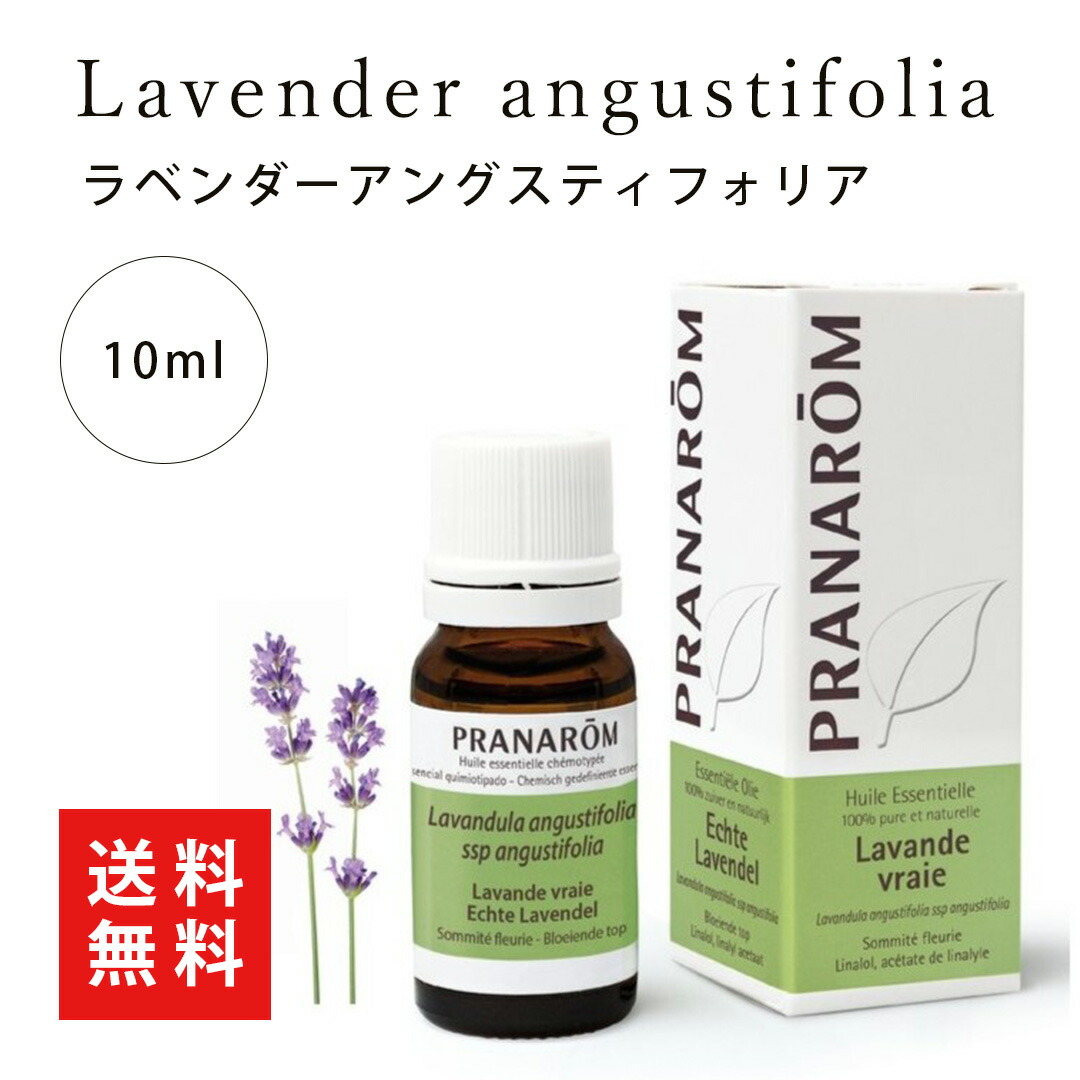 楽天市場】【送料無料】プラナロム ゼラニウムエジプト 10ml プラナロム 並行輸入品 精油 エッセンシャルオイル アロマテラピー : Aroma  Selection