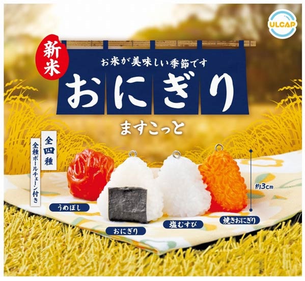 楽天市場】【9月発売予定】 富士ホーロー モンチッチ ミニ