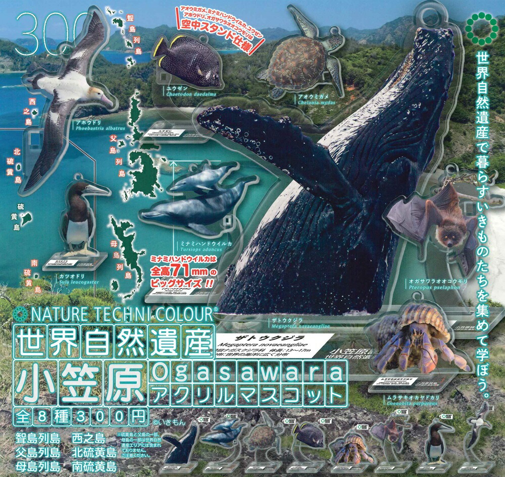 楽天市場】ネイチャーテクニカラー 小笠原 特装版 【各種】 : A