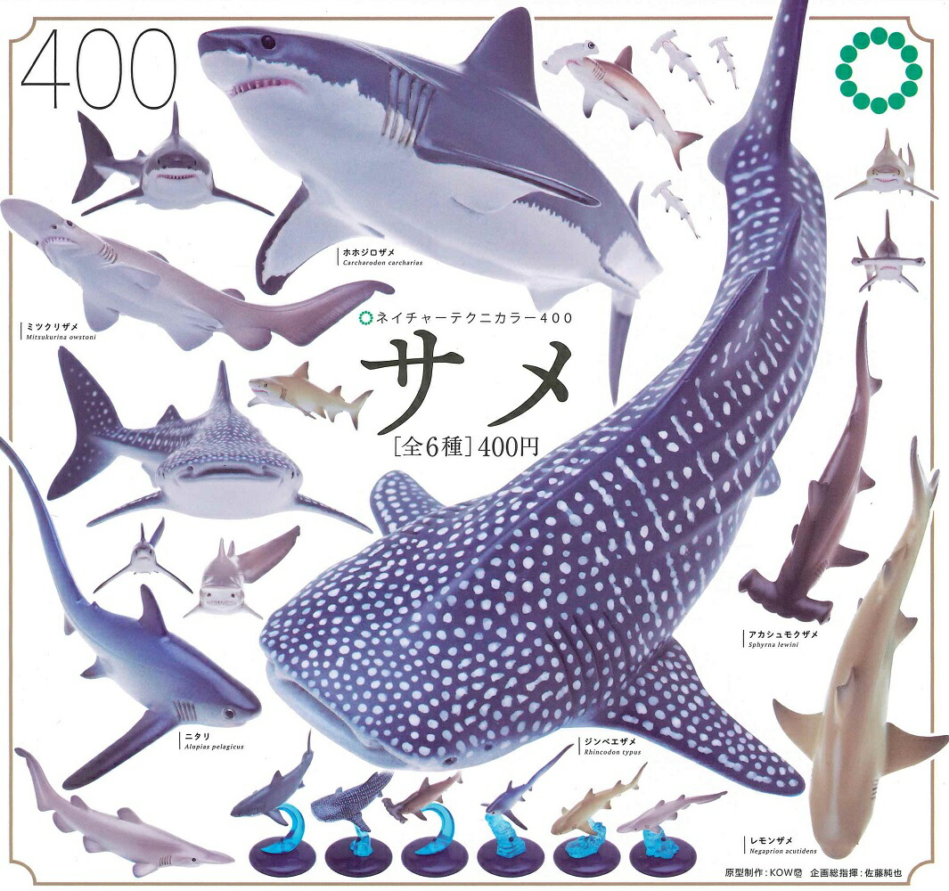 ネイチャーテクニカラー　海遊館ミュージアム　メガネモチノウオ（※ミニブックなし） ネイチャーテクニカラー 海遊館ミュージアム メガネモチノウオ