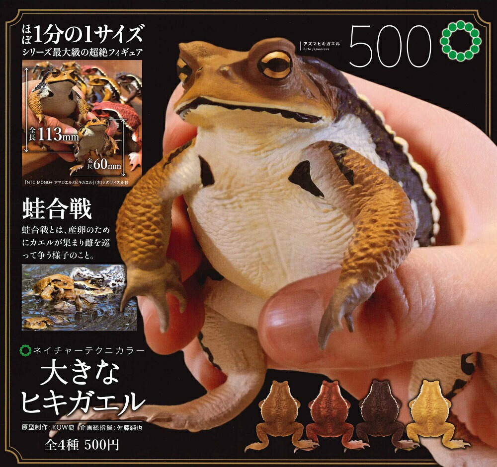 新品　特大　カエル　全6種セット　ラテックス製　フィギュア　タグ付き　未使用デカ 新品 特大 カエル 6種 ラテックス 天然ゴム フィギュア タグ付き
