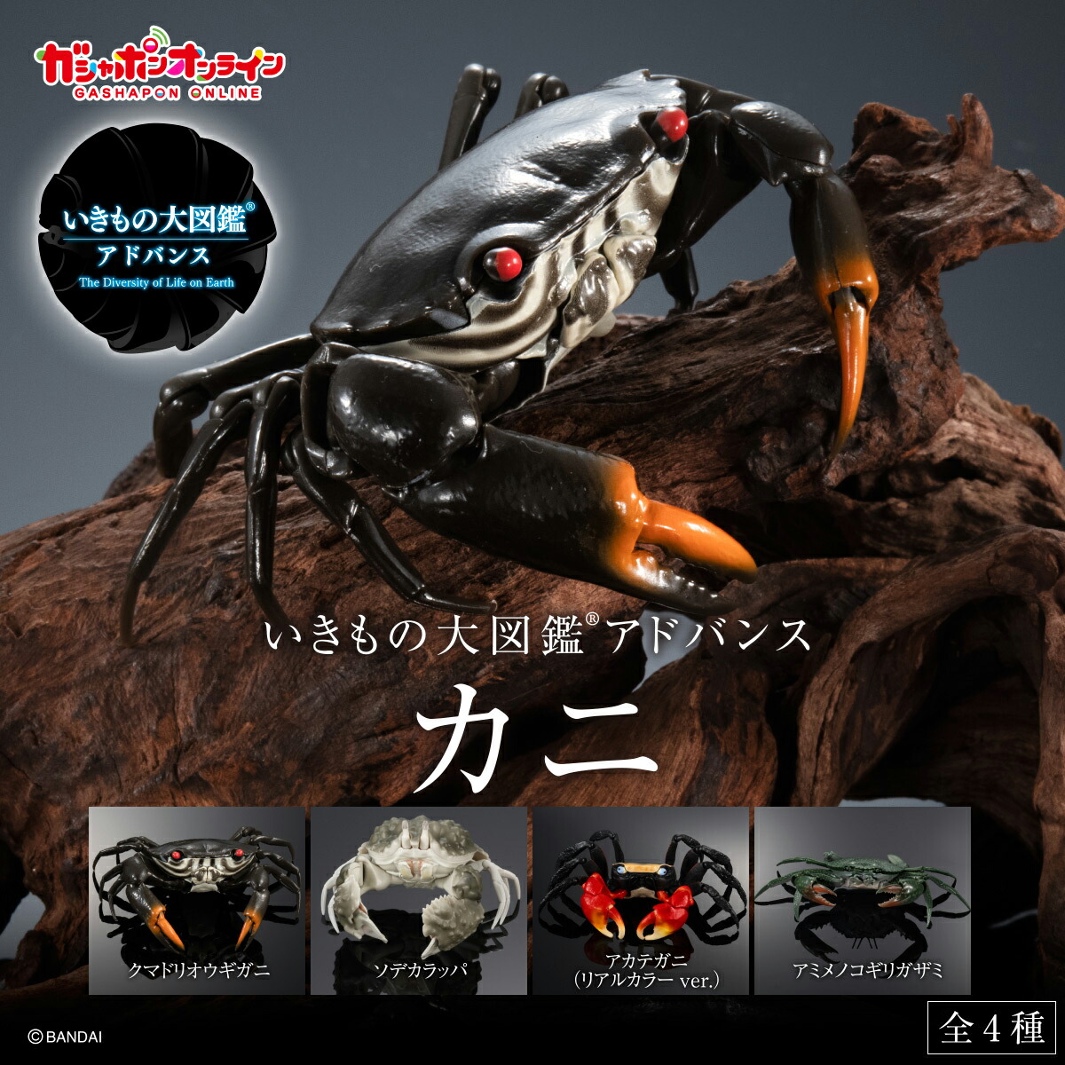 いきもの大図鑑　プレミアム　カメレオン　グリーン　新品未開封 いきもの大図鑑 プレミアム カメレオン グリーン 新品未開封