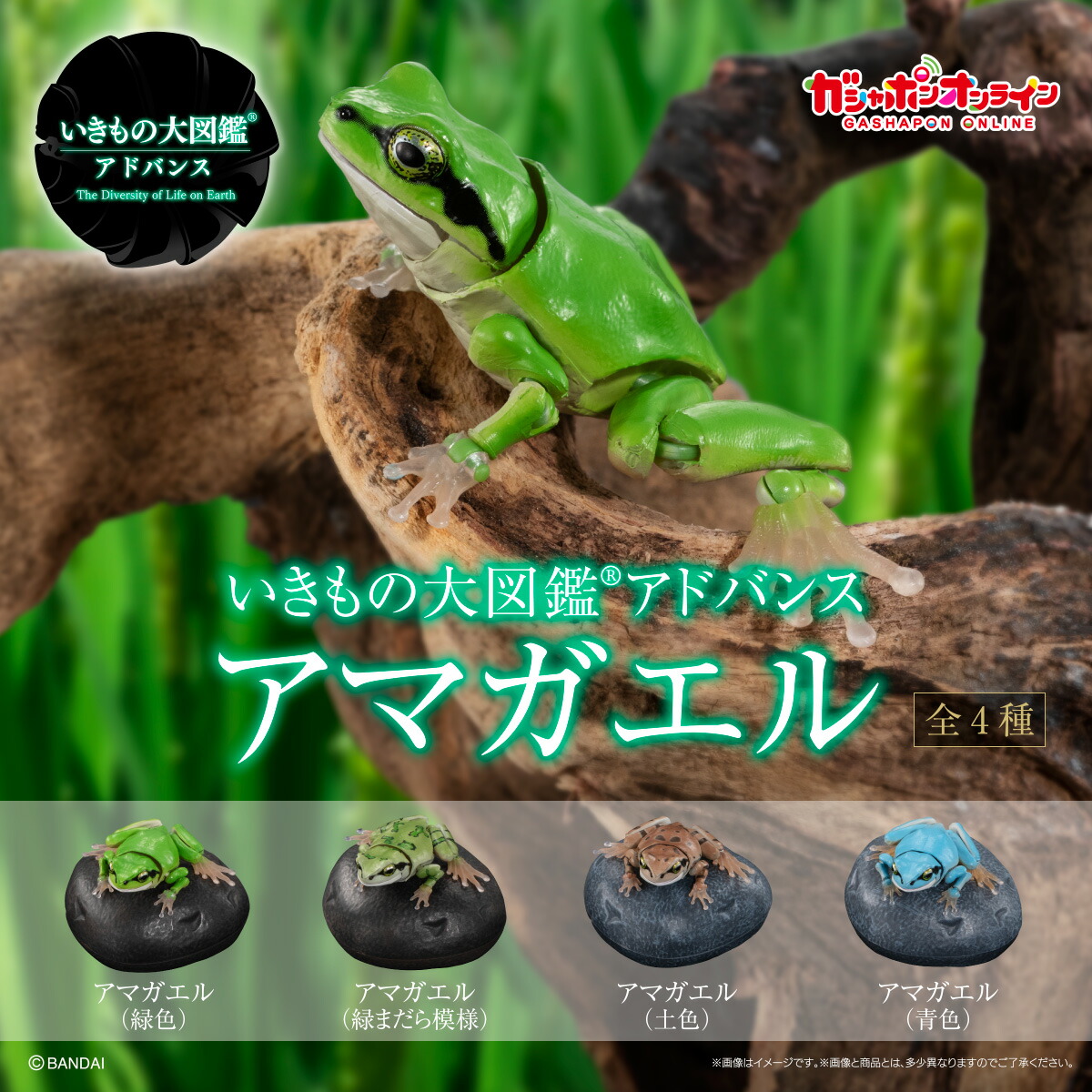 楽天市場】【送料無料!】 【特典 シーモンキーかんさつ日記 付属