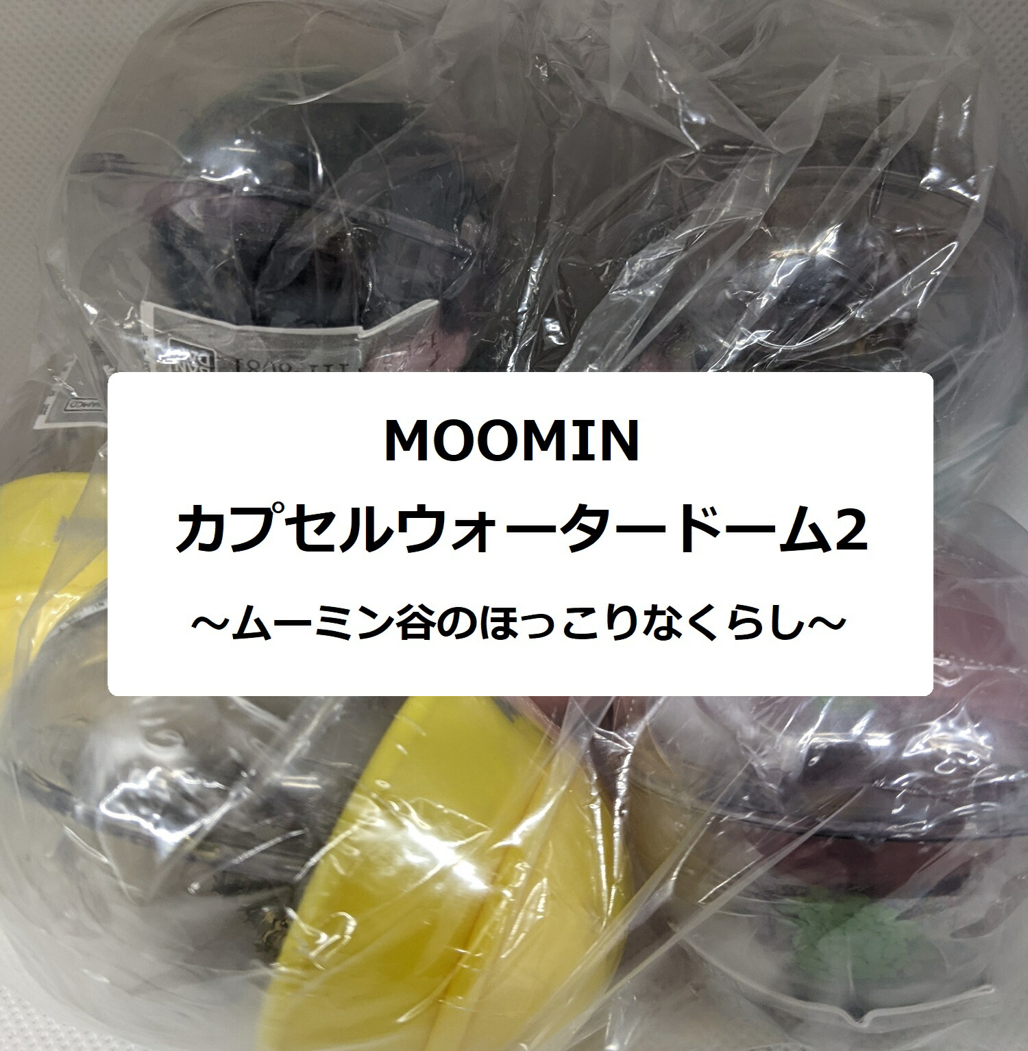 ムーミン様　Vup Exa ヒロミさんプロデュース　3L 楽天市場】【9月発売予定】 アートインザポケット ムーミン Vol