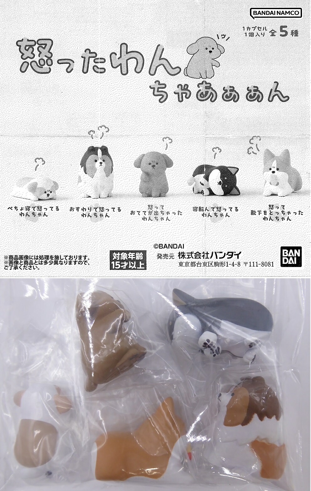 新品 有吉ぃぃeeeee! 公式グッズセット 全種類 テレ東本舗。WEB -すべての商品/情報・バラエティ/有吉ぃぃeeeee
