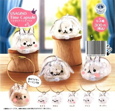 ★うさうさぎ★今夜タイムセール中‼️専用 楽天市場】うさぎのタイムカプセル 全5種セット コンプ