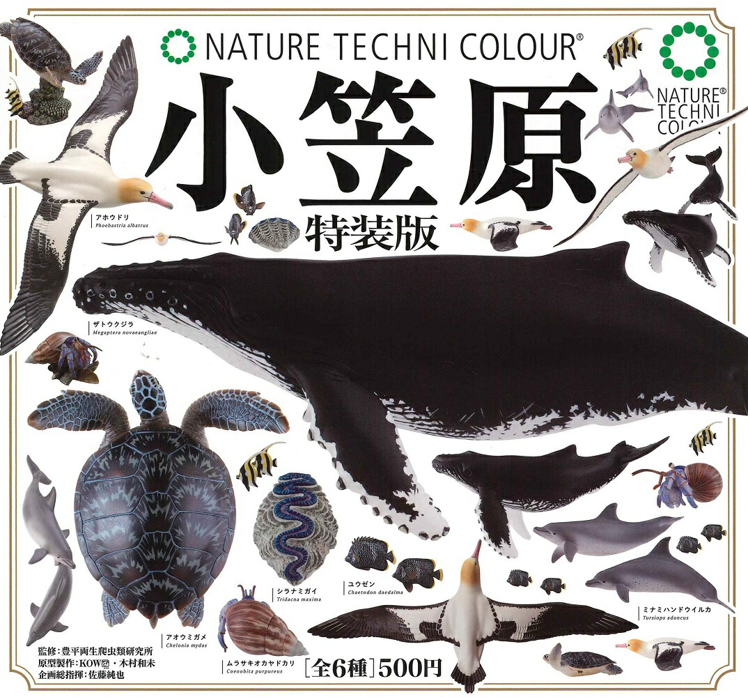 ネイチャーテクニカラー 古生物 コンプセット 楽天市場】【予約】【コンプリート】ネイチャーテクニカラー