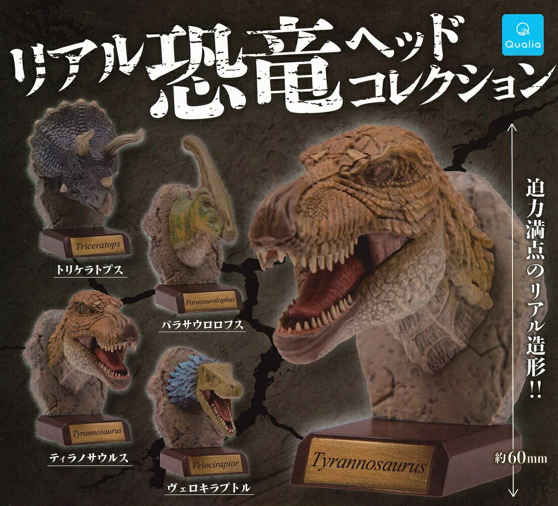 恐竜キング 1/12スケール実機 1/12 古代王者 恐竜キング - スタジオ