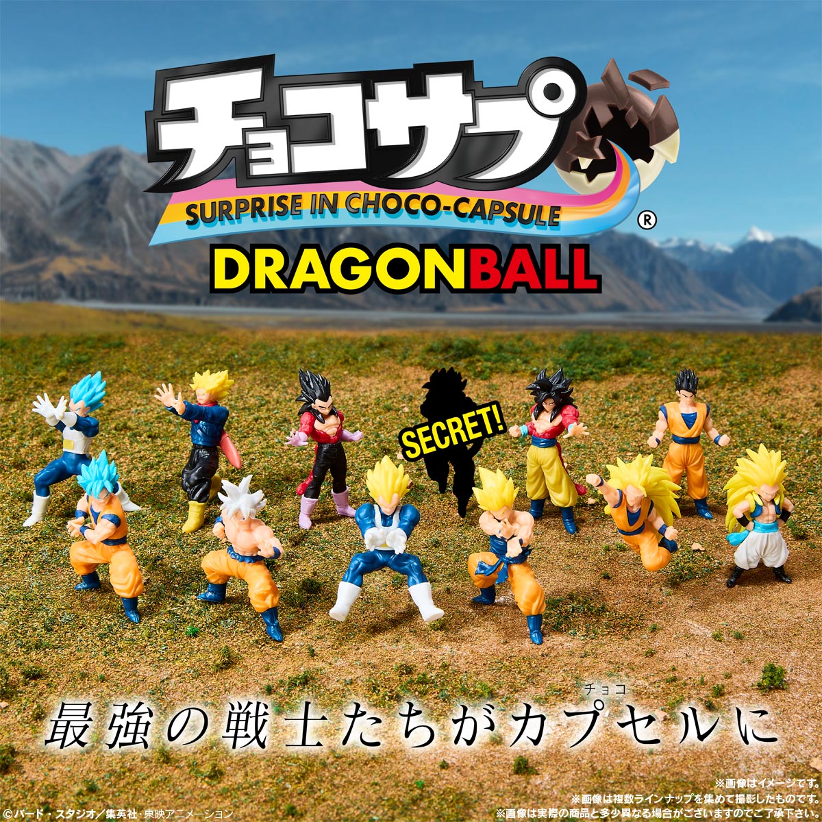 楽天市場】チョコサプ ドラゴンボール2 10個 BOX 食玩 2026/04/06発売