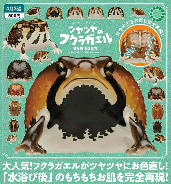 楽天市場】NTC ツヤツヤのフクラガエル 全4種セット【フルコンプリート