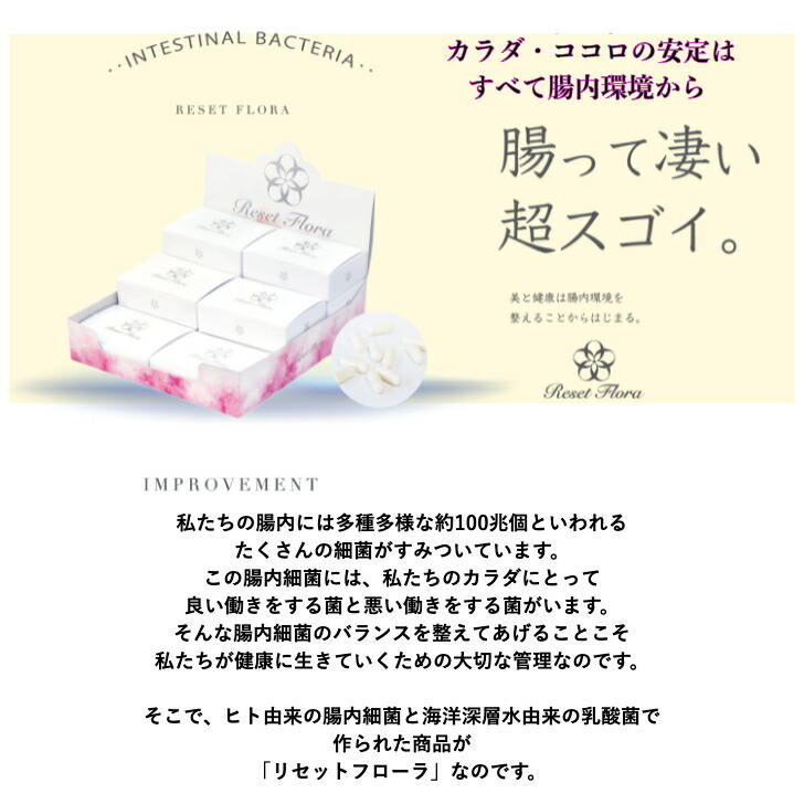 リセットフローラv 60粒入 1袋 腸活 アレルギー 妊活 便秘解消 快便 腸内環境 乳酸菌 腸内細菌 約1ヶ月分 Alittlepeaceofmind Co Uk