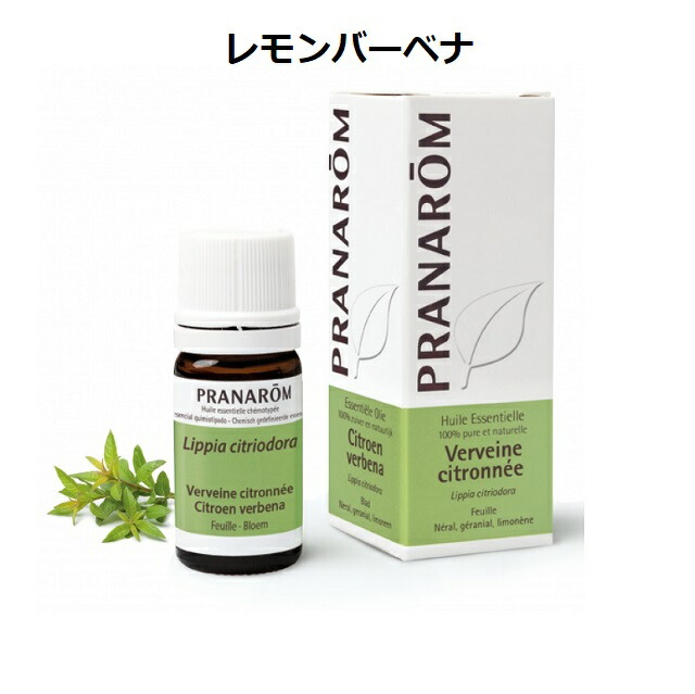 楽天市場】【並行輸入品】プラナロム レモンバーム/メリッサ 5 ml 精油