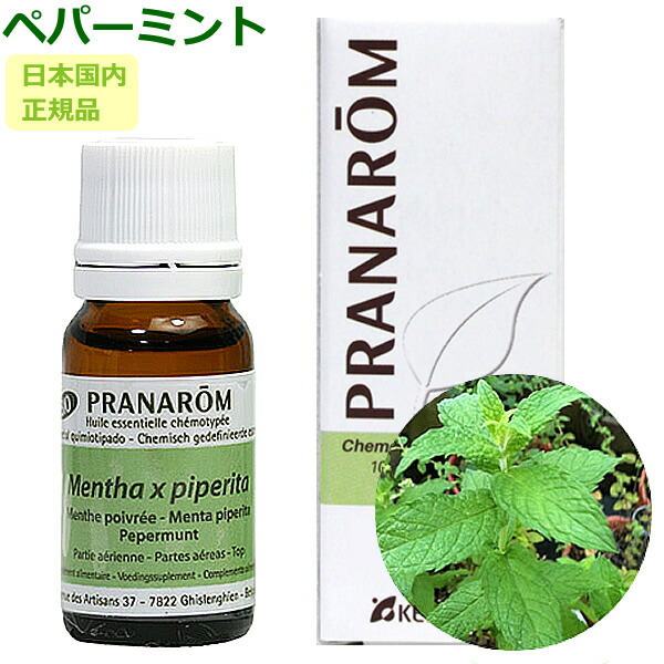 楽天市場】プラナロム ティートゥリー 10ml プラナロム アロマ