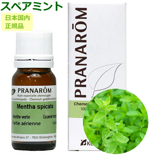 楽天市場】プラナロム アトラスシダー/シダーウッド・アトラス