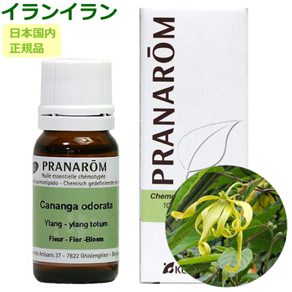かん様　PRANAROM フランキンセンス他　合計6点　精油　プラナロム かん様 PRANAROM フランキンセンス他 合計6点 精油 プラナロム