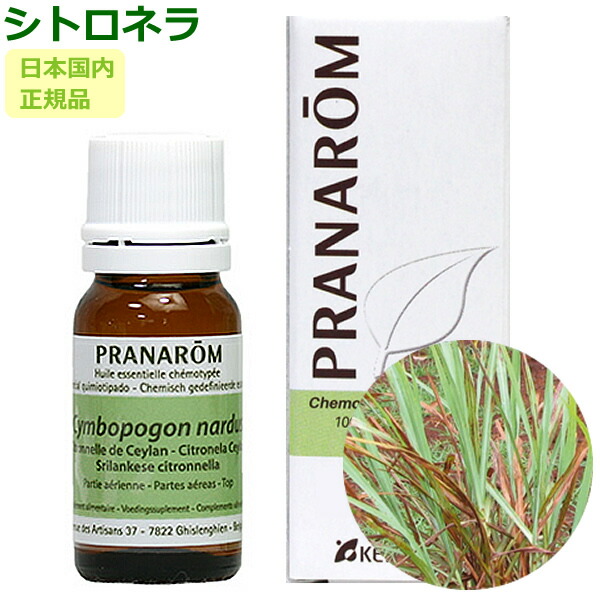 楽天市場】プラナロム アトラスシダー/シダーウッド・アトラス