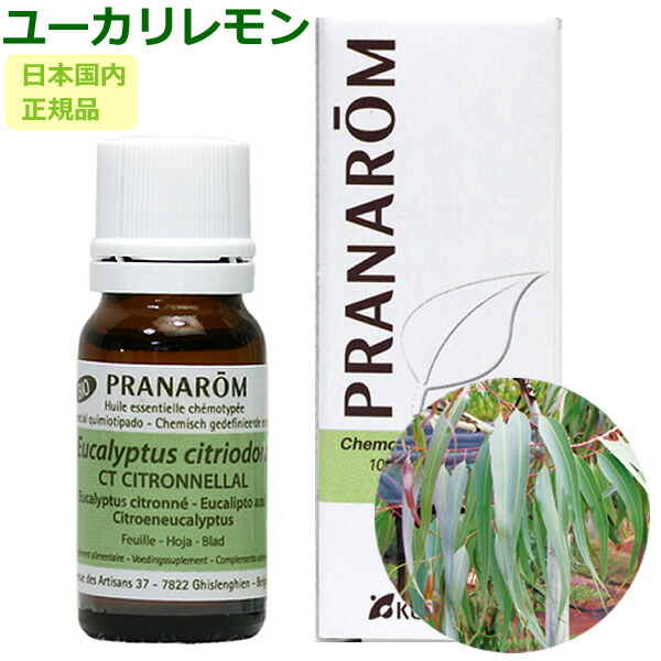 楽天市場】プラナロム ユーカリ レモン 10ml ユーカリレモン