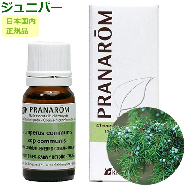 楽天市場】プラナロム フランキンセンス 10ml プラナロム アロマ