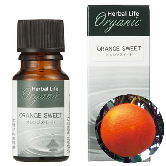 生活の木 有機 オレンジスイート 精油 10ml オーガニック エッセンシャルオイル