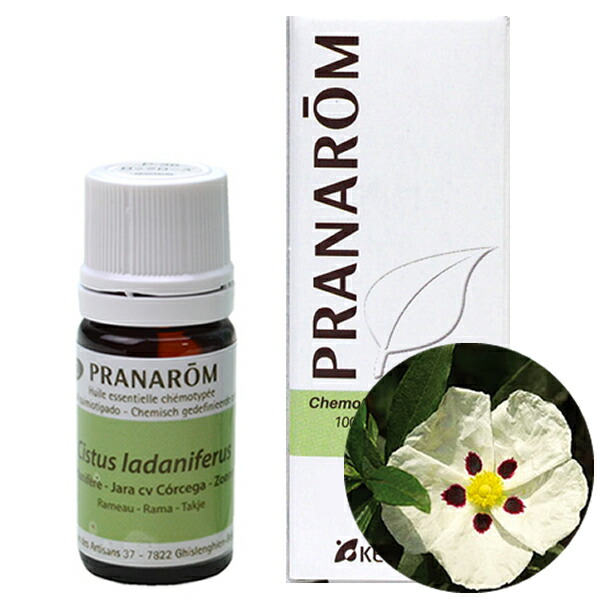 じゅん様　PRANAROM ラベンダーアングスティフォリア 、ティートゥリー 楽天市場】プラナロム AOP ラベンダー アングスティフォリア