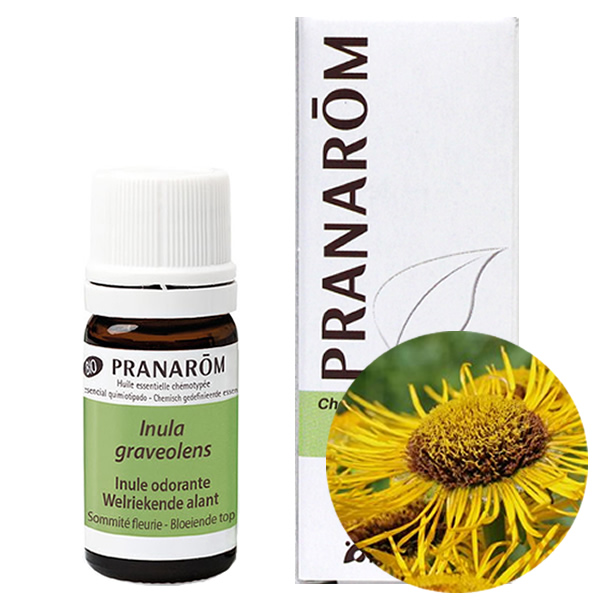 最大52%OFFクーポン PRANAROM プラナロム ヘリクリサム 5ml 並行輸入品