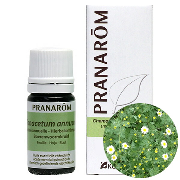 楽天市場】プラナロム セージ エッセンシャルオイル 送料無料 : アロマ