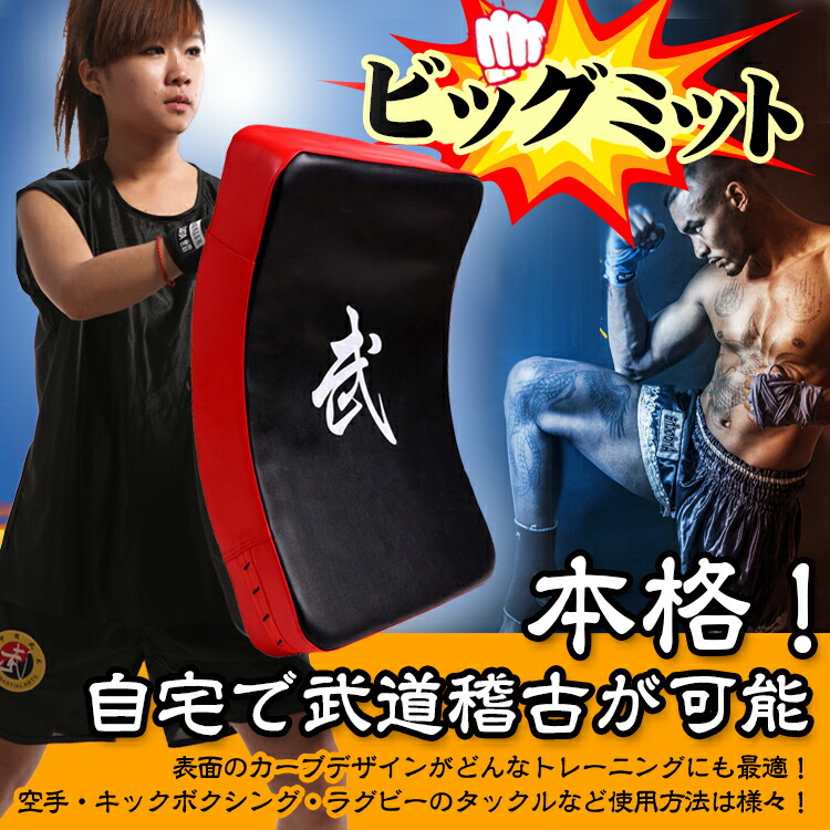 ビッグミット 打撃ミット 空手 キックボクシング 武道 総合格闘技 トレーニング ストレス解消 運動不足 初心者 上級者