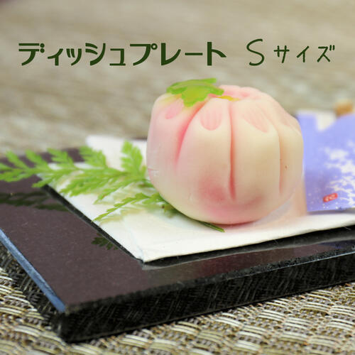 楽天市場 ディッシュプレートｌｌ 大理石 プレート 料理 皿 お皿 おしゃれ キレイ 食器インスタ映え 白 ホワイト ベージュ プレゼント 贈り物 パーティーホームパーティー イベント おもてなし ひんやり 冷感 送料無料 こころ暮らしの店 Cocoro