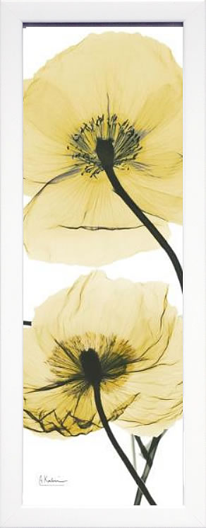 楽天市場】【ライセンスプリント】レントゲンアート XRay 絵画