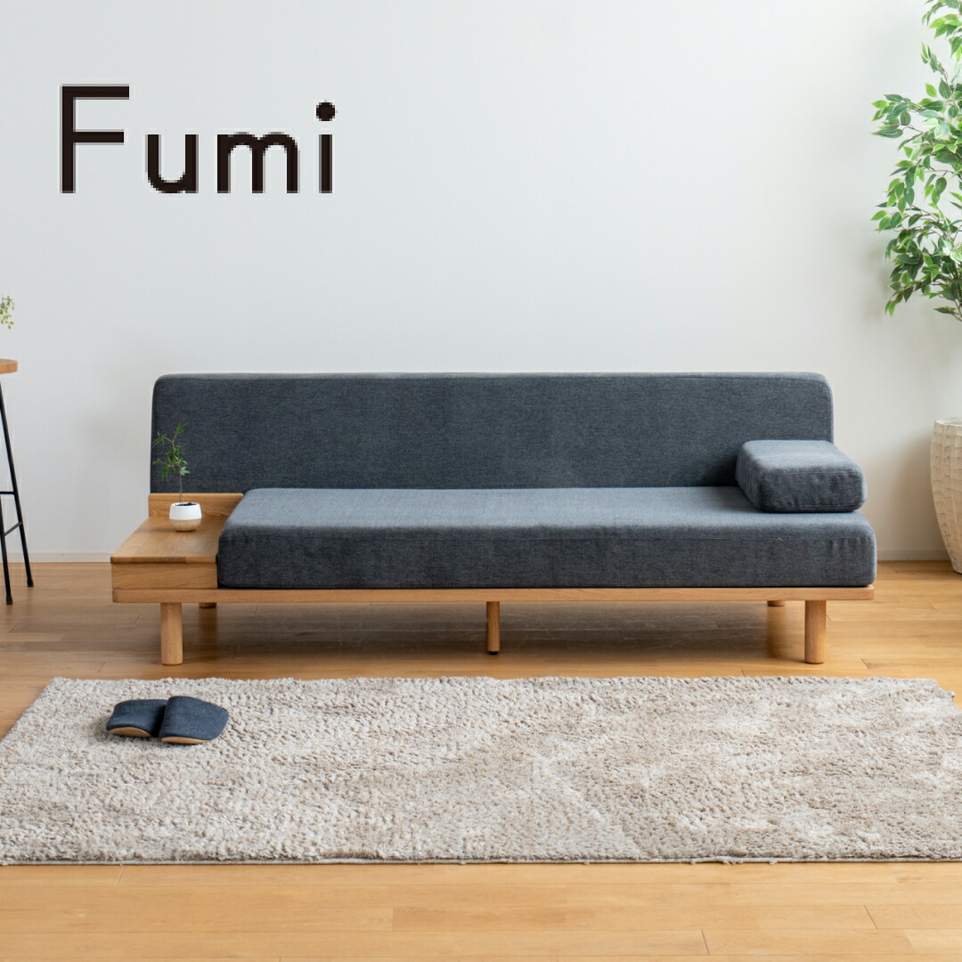 Fumi(フミ)ながら第四次元を楽しむ長椅子（判定基準出どころ・愛玩動物相応う出どころ）置き目長椅子にもなる 収納箱、座布団付  カバーリングソファ 室内用便器可＜開梱とり備える無料＞