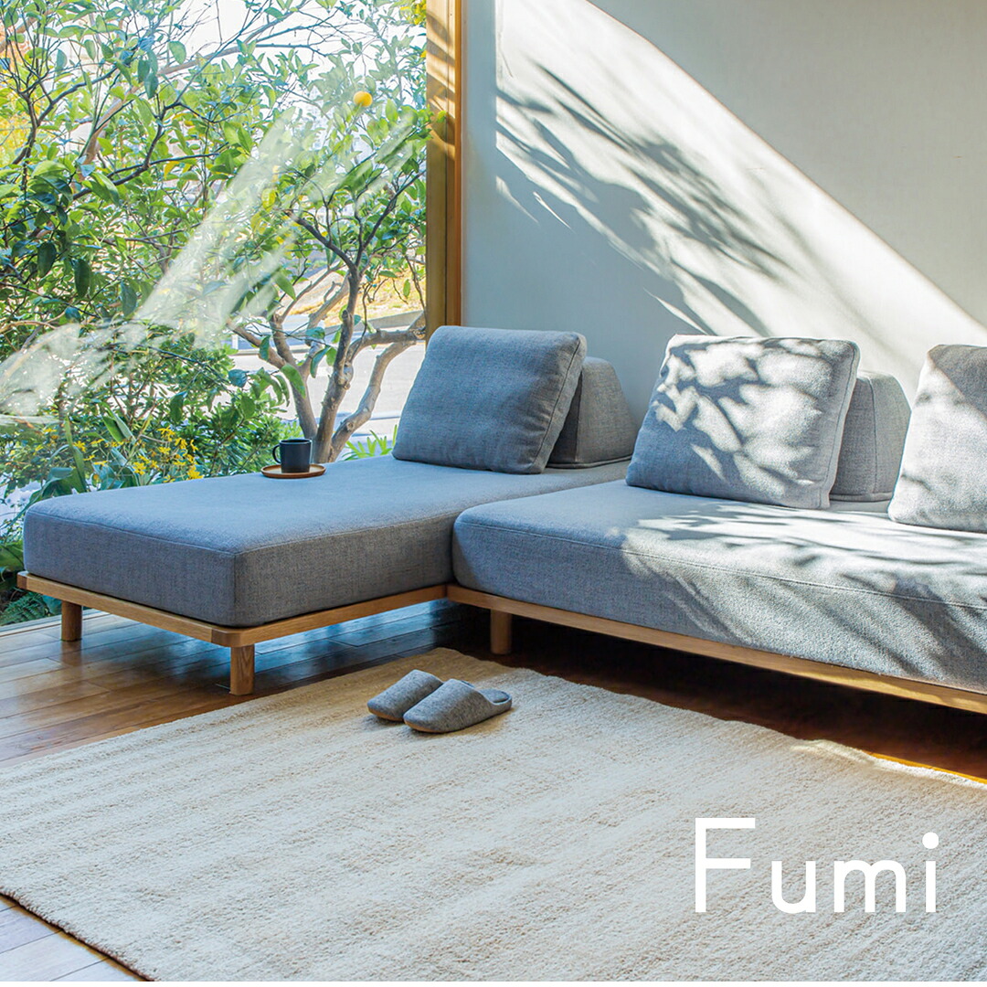 Fumi（フミ）【馬鹿馬鹿しいのない長いす】（軍事基地×2 背座布団×3）（標準尺度出どころ・愛玩動物相応う出どころ）置き目長いすにもなる 背座布団付 ほど好いたらしい座りごごち カバーリングソファ 室内用便器可＜開梱据え付ける無料＞