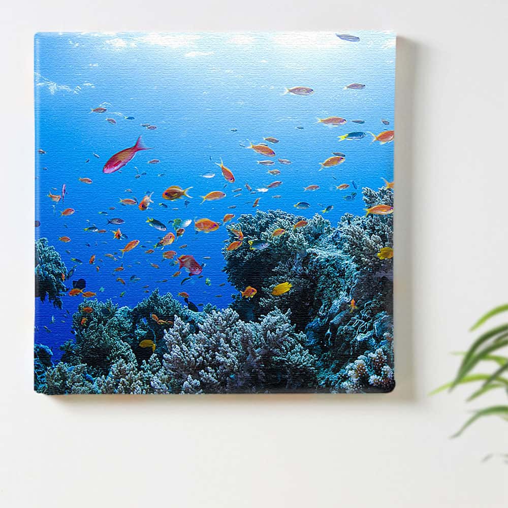 楽天市場 海 魚 ブルーのインテリア用ファブリックパネル ファブリック パネル ポスター ボード 壁掛け アート 絵 おしゃれ インテリア 玄関 30cm 30cm Mサイズ 返金保証 インテリア アートパネル Artdeli