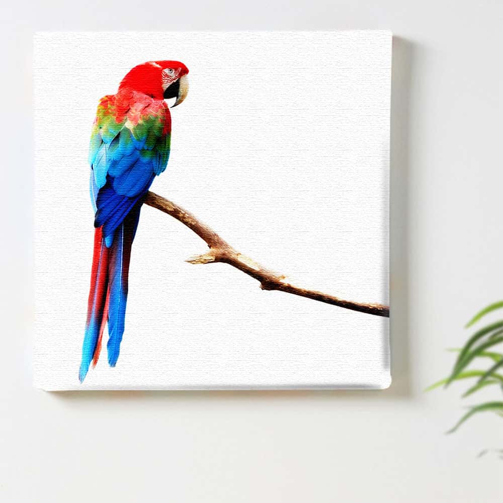 楽天市場】インコ 鳥 カラフルのインテリア用ファブリックパネル