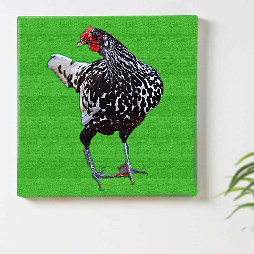 楽天市場】【11/5 限定クーポン】 アートパネル カラフル