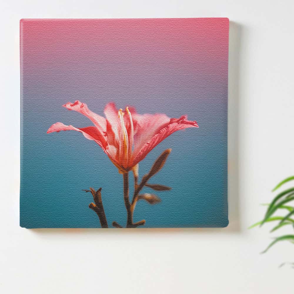 花のファブリックボード インテリア雑貨 ピンク poht-2205-24 XL 楽天市場】【アートデリ】花のファブリックボード インテリア