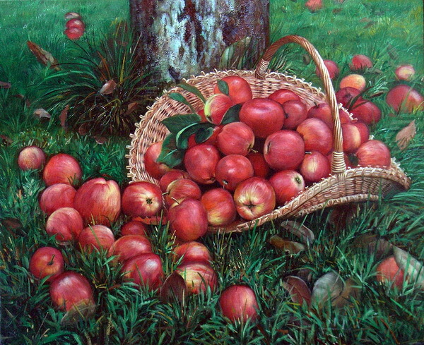 特価油絵 熟したりんご MA2988|絵画制作専門ユーラシアアート