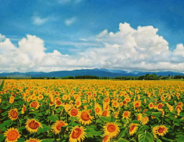 油絵 宮崎・染ヶ岡のひまわり畑　MA3037