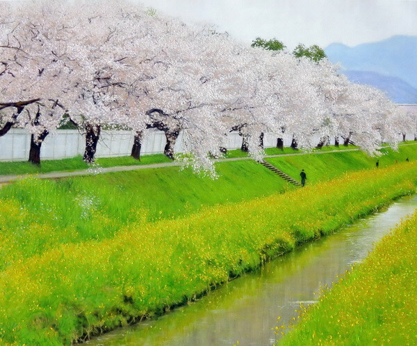 特価油絵 桜並木と菜の花　ma3042