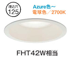 大光電機 屋内・屋外兼用ダウンライト DDL5567FW PWM信号制御 調色調光 Φ125 FHT42W相当 工事必要
