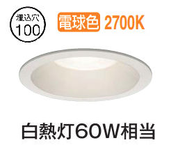 大光電機 屋内･屋外兼用ダウンライト DDL5669YWG 保安灯機能付 調光 電球色 Φ100 白熱灯60W相当 工事必要｜アート・ライティング